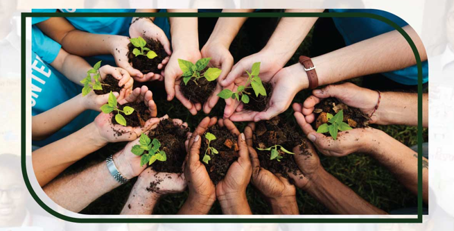 Tree Planting